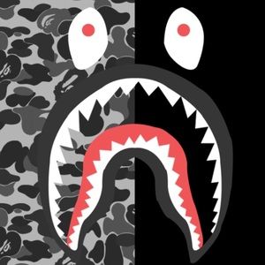 Meet your Posher, Zachary